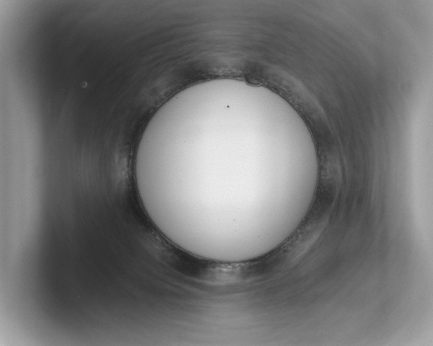 X0000101390084200807211022