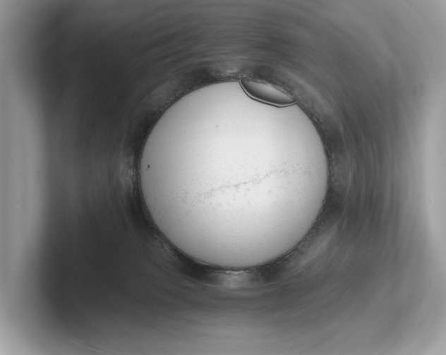 X0000101390085200807211022