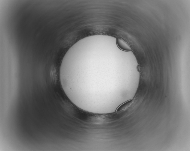 X0000101390086200807211022