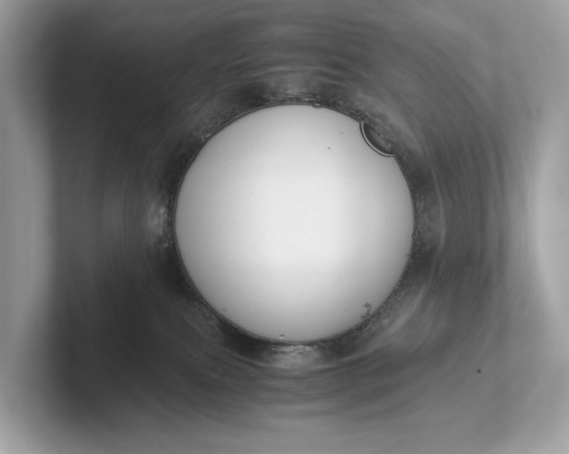 X0000101390087200807211022