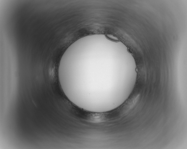 X0000101390088200807211022