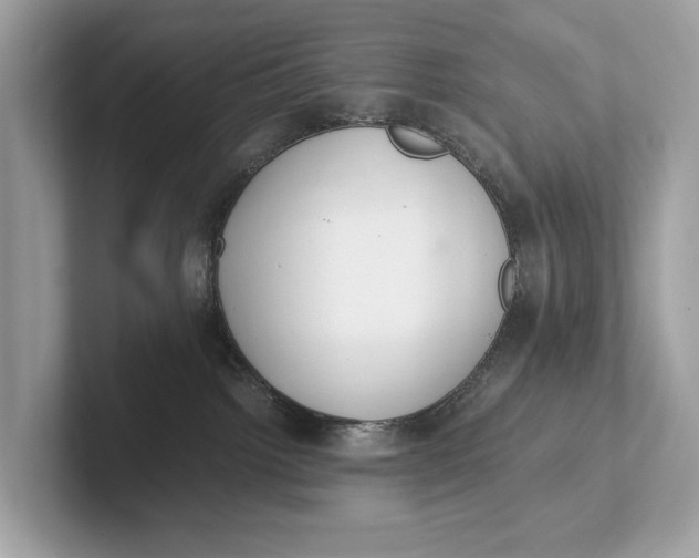 X0000101390092200807211022