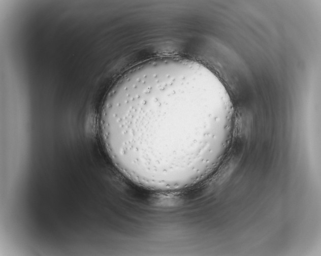 X0000101390093200807211022