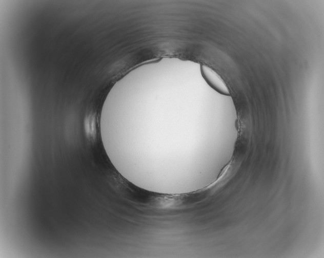 X0000101390094200807211022