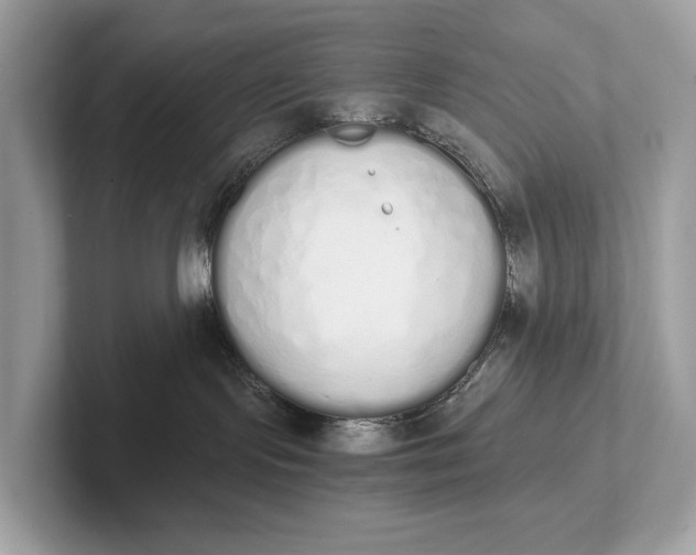 X0000101390095200807211022