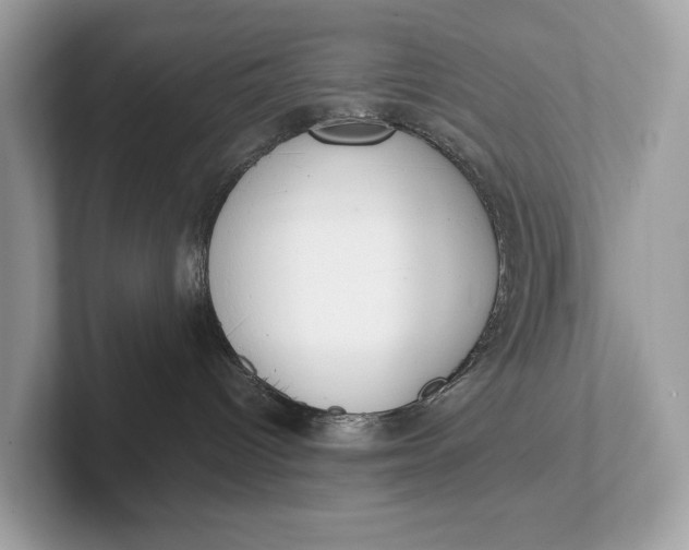 X0000101390096200807211022