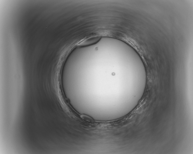 X0000101390097200807211021