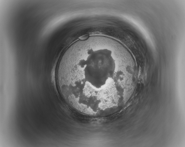 X0000101390099200807211021