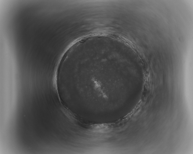 X0000101390100200807211021