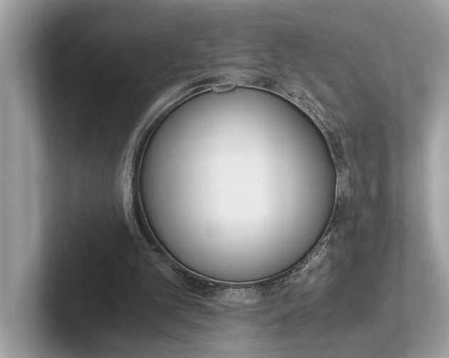 X0000101390101200807211021