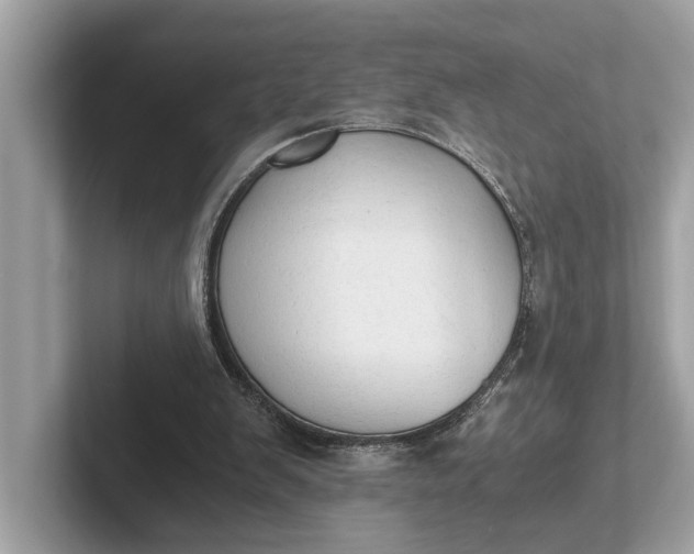 X0000101390103200807211021