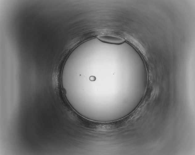 X0000101390105200807211021