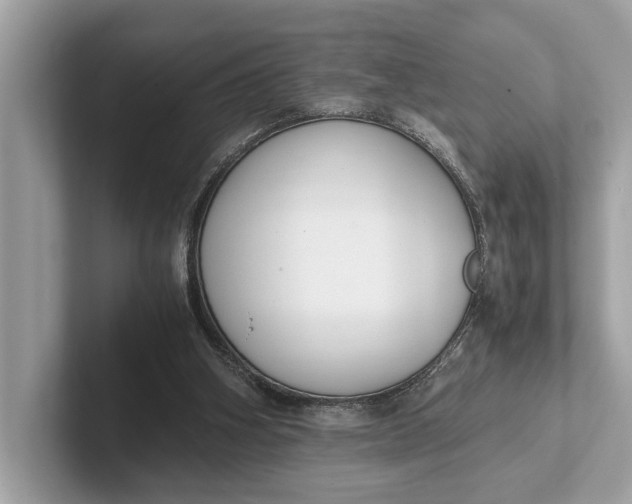 X0000101390106200807211021