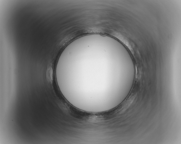 X0000101390109200807211021