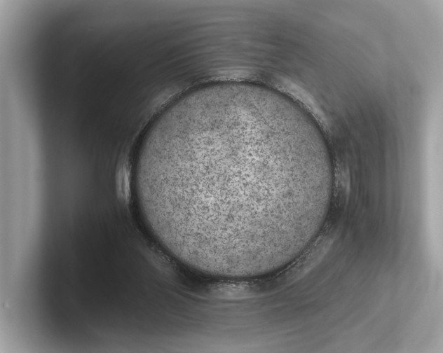 X0000101390110200807211021