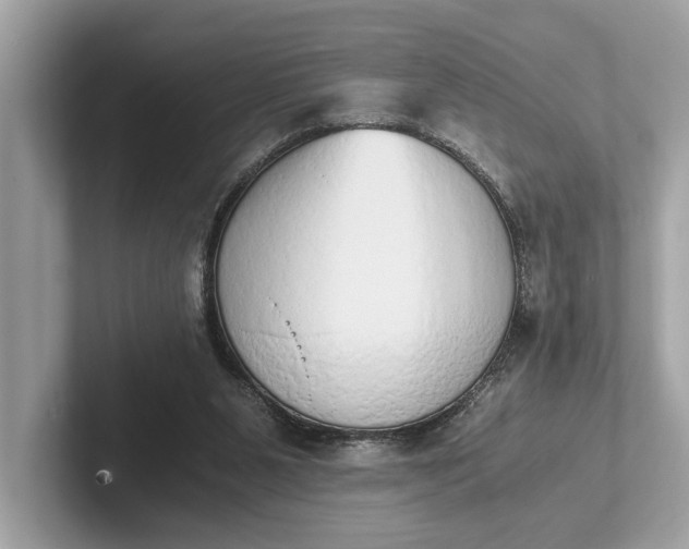 X0000101390111200807211021