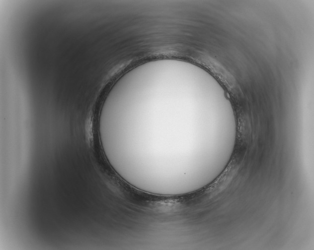 X0000101390112200807211021