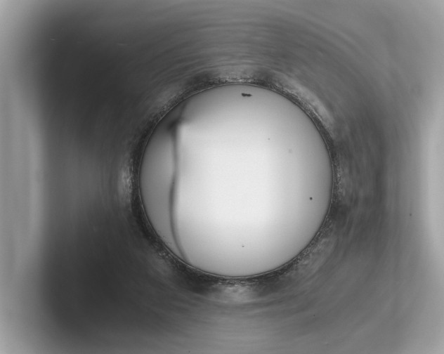 X0000101390113200807211021