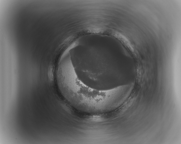 X0000101390114200807211021