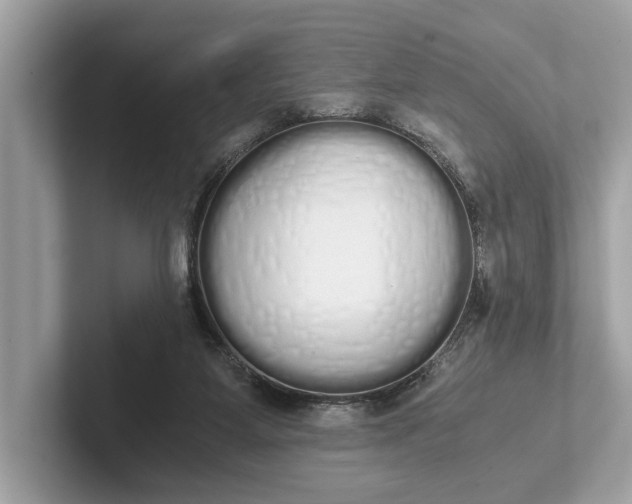 X0000101390115200807211021