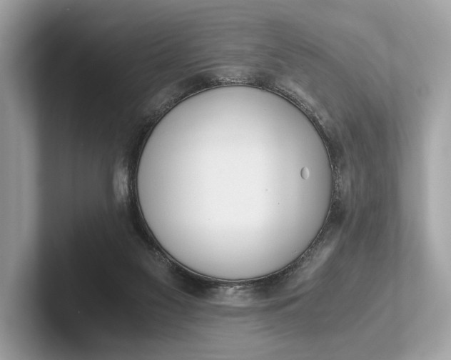 X0000101390117200807211021