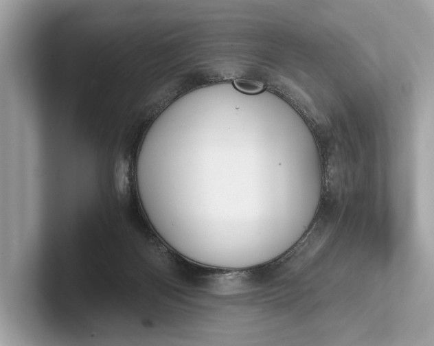 X0000101390122200807211021