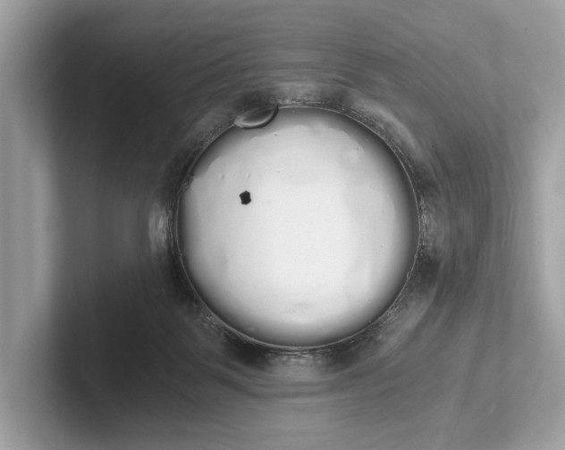 X0000101390123200807211021