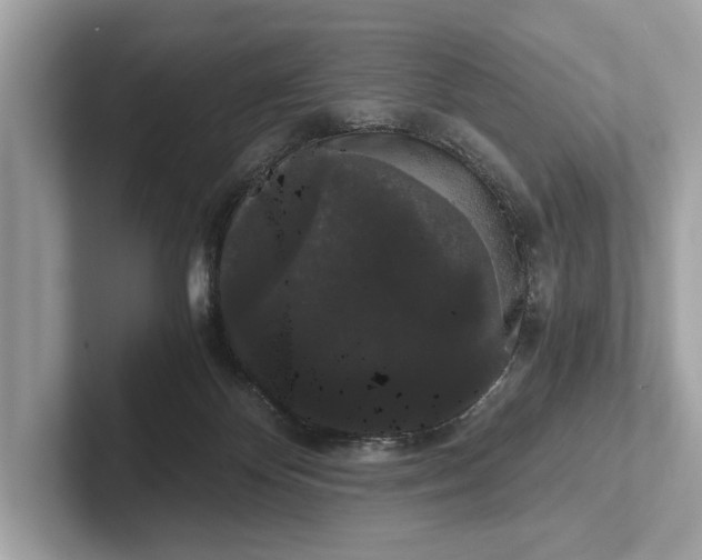 X0000101390124200807211021