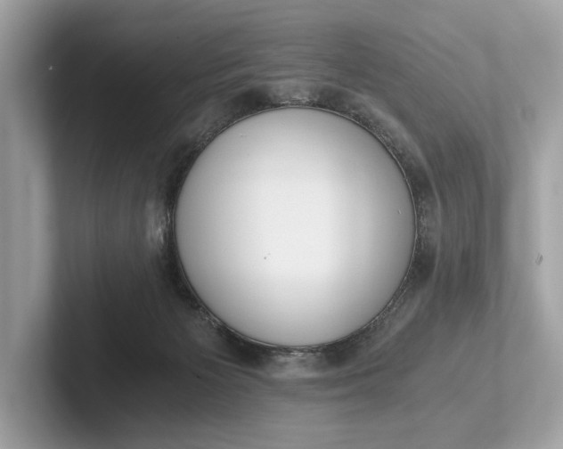 X0000101390125200807211021