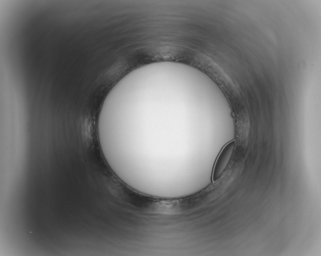 X0000101390126200807211021