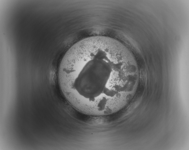 X0000101390127200807211021