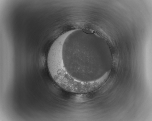 X0000101390130200807211021