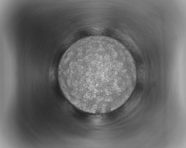 X0000101390131200807211021