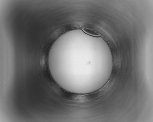 X0000101390132200807211021