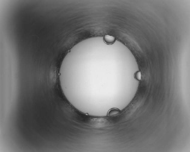 X0000101390133200807211021