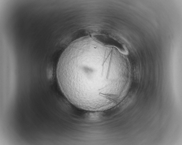 X0000101390134200807211021