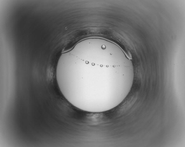 X0000101390135200807211021