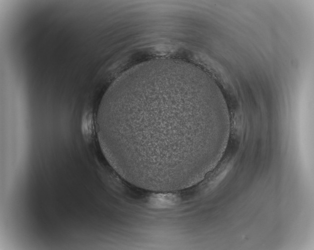 X0000101390137200807211021