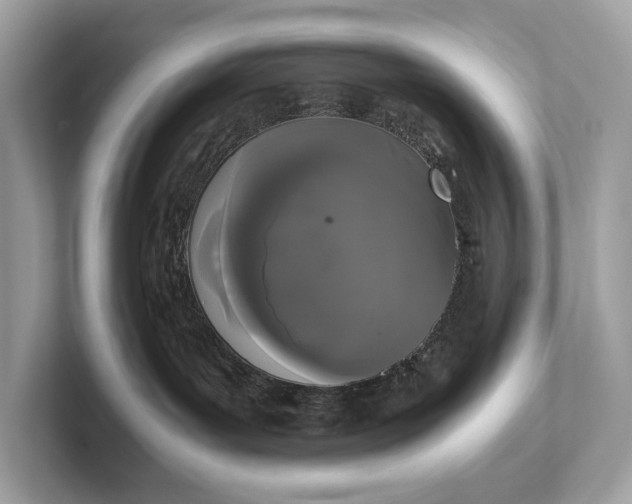 X0000101390143200807211020