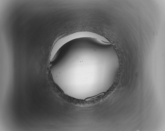 X0000101390144200807211020