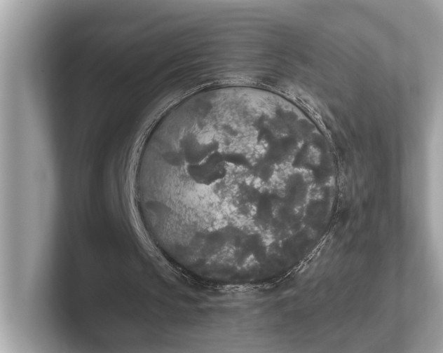 X0000101390145200807211020