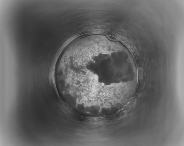 X0000101390147200807211020