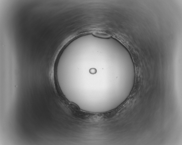 X0000101390148200807211020