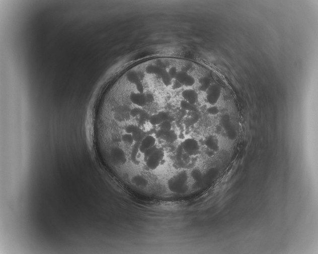 X0000101390149200807211020