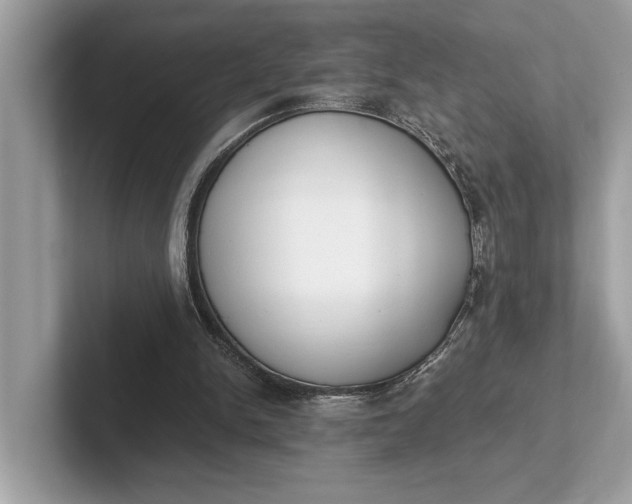 X0000101390150200807211020