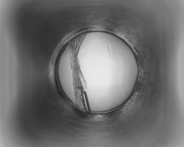 X0000101390151200807211020