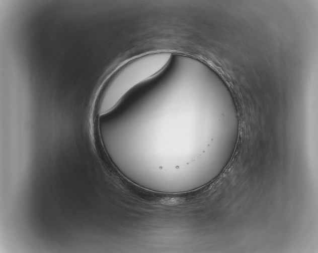 X0000101390152200807211020