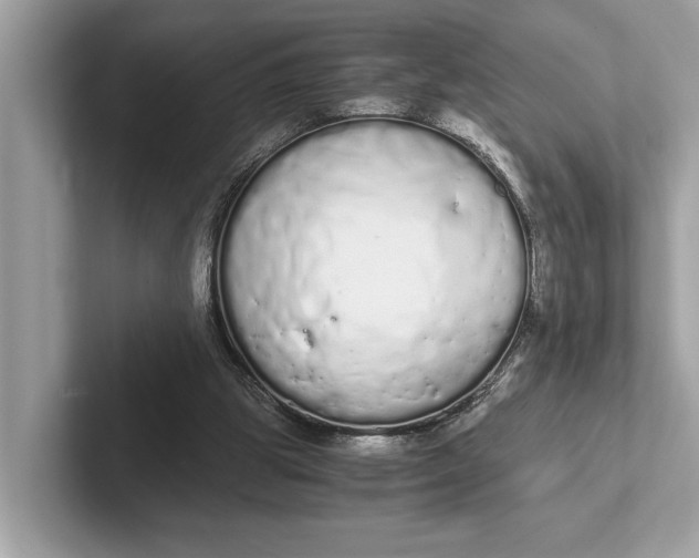 X0000101390153200807211020