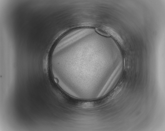 X0000101390156200807211020