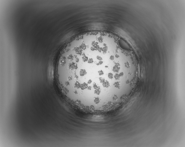 X0000101390157200807211020